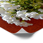 Petunia surfinia in een witte pot poster (Hoek)