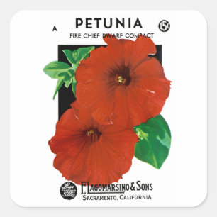 Petunia Vierkante Sticker