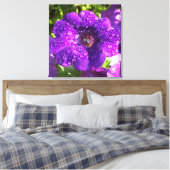 Petunia violet dans une toile de douche pluviale I (Insitu(Chambre))