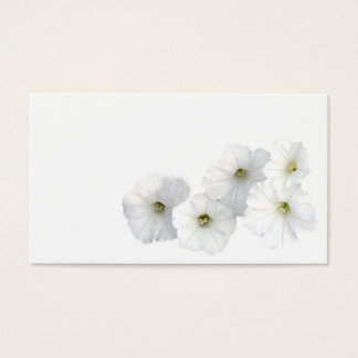 Petunias blancs