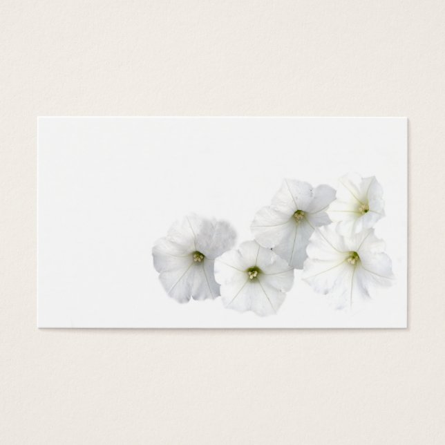 Petunias blancs (Devant)