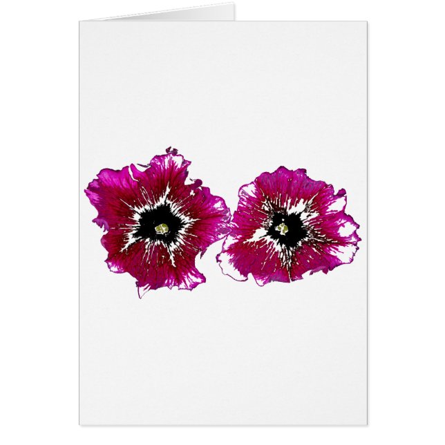 Petunias d'été (Devant)