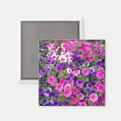 Petunias Magneet (Voorkant / Achterkant)