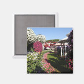 Petunias Magnet Magneet (Voorkant / Achterkant)