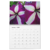 Pétunias - un calendrier 20XX (Jan 2027)