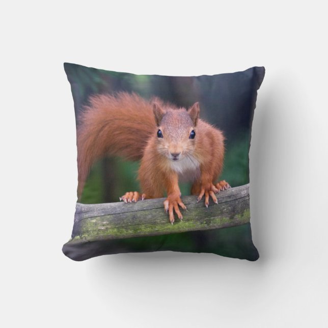 Peu coussin rouge (Recto)