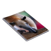 Peu de carnet de fourmilier (Côté Droit)