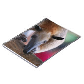 Peu de carnet de fourmilier (Côté gauche)
