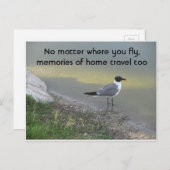 Peu importe l'endroit où vous volez - Carte postal (Devant / Derrière)
