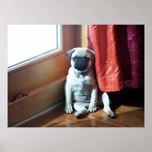 peuk poster (Voorkant)