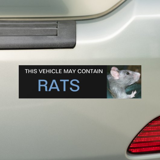 peut contenir un autocollant de pare-chocs de rats (En voiture)