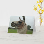 Peut-être son ce côté ? Carte de salutation/note (Fleur jaune)