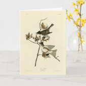 Pewit Flycatcher, Phoebe, Audubon Birds of America Kaart (Gele Bloem)
