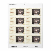 Pewpewpeug Etiket (Full Sheet)