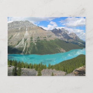 Peyto Glacial Lake Banff Park Alberta Canada Briefkaart
