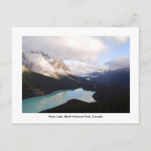 Peyto Lake / Banff National Park, Canada. Briefkaart