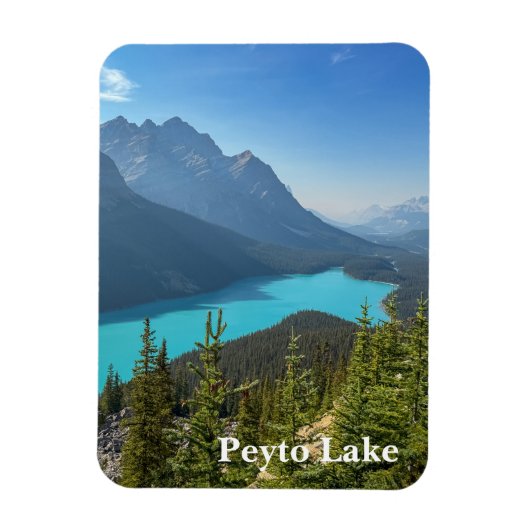 Peyto Lake in Banff Canada Magneet (Verticaal)