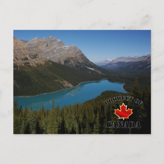 Peyto Lake Product uit Canada Briefkaart (Voorkant)
