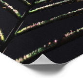 Pfauenfeder Poster (Hoek)