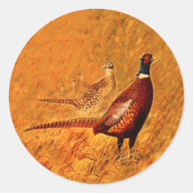 Pfazant Vogel Natuur Wildlife Stickers
