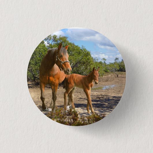 Pferde Ronde Button 3,2 Cm (Voorkant)