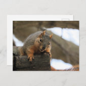 Pfft Briefkaart (Voorkant / Achterkant)