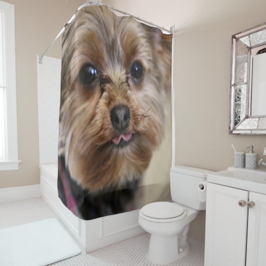 Pfft. Douchegordijn (In situ)