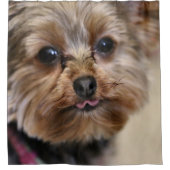 Pfft. Douchegordijn (Voorkant)