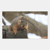 Pfft Rechthoekige Sticker (Voorkant)