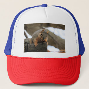 Pfft Trucker Pet