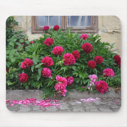 Pfingstrosen Muismat (Voorkant)