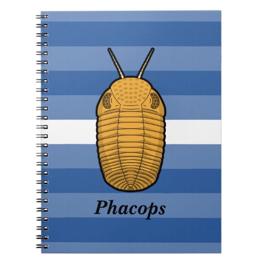 Phacops trilobiet - prehistorisch dier notitieboek (Voorkant)