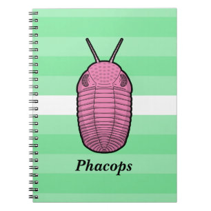 Phacops trilobiet - prehistorisch dier notitieboek