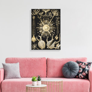 Phaeodaria 61 Goud Ernst Haeckel Canvas Afdruk