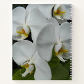 Phalaenopsis blanche Orchidées Carnet floral (Dos)