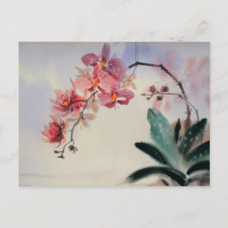 Phalaenopsis Briefkaart