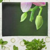 Phalaenopsis liodoro Küchenhandtuch 40,6cm x 61cm Theedoek (Gevouwen)