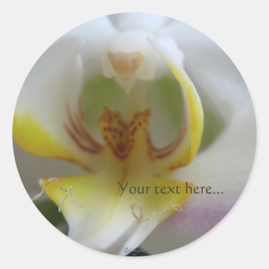 Phalaenopsis Magic White bruiloft uitnodiging zege Ronde Sticker (Voorkant)