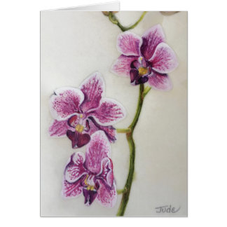 Phalaenopsis "Moth Orchid" 5 x 7" met envelop