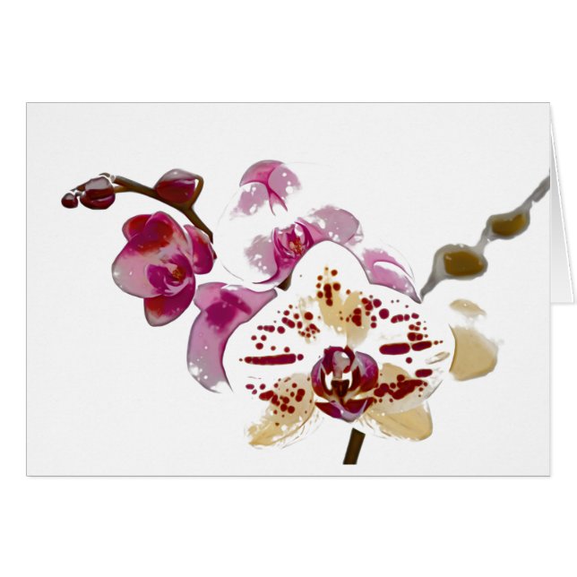Phalaenopsis Orchid Flower Bouquet (Voorkant Horizontaal)