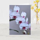 Phalaenopsis Orchid Kaart (Gele Bloem)