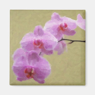 Phalaenopsis Orchid Magneet