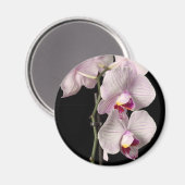 Phalaenopsis orchidee magneet (Voorkant / Achterkant)