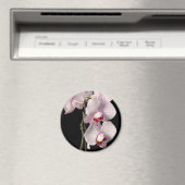 Phalaenopsis orchidee magneet (Insitu (Vaatwasser))