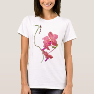 Phalaenopsis orchidee - shirt