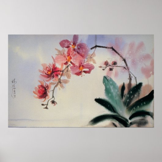 Phalaenopsis Poster (Voorkant)