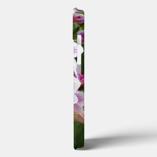 Phalaenopsis rose iPhone 13 Coque (Verso / Gauche)