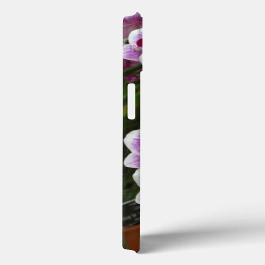Phalaenopsis rose iPhone 13 Coque (Verso / Droite)