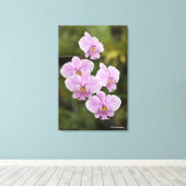 Phalaenopsis Schilleriana Canvas Afdruk (Insitu (Houten vloer))