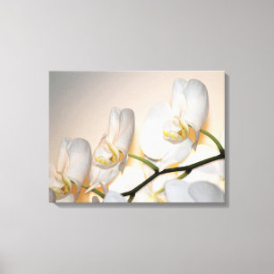 Phalaenopsis Sogo Yukidian Orchid Wrapped Canvas Afdruk